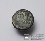 Еоліда, м.Кіми (Кіма), 350-250 до н.е. – орел / скіфос, фото №8