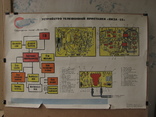 Плакат.Устройство телефонной приставки "Виза-32".60х90.1983, фото №2