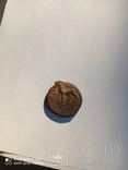 Чеканеная монета Керкинитиды lll в.д.н.э, фото №4