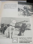 Служебное и охотничье собаководство,1964г, фото №4