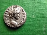 Тит 69-81 г.н.э.Денарий.Серебро., фото №4