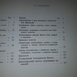 Каталог Итальянской художественной книги Рим 1961, фото №9