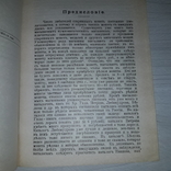 1904 г. Полное практическое руководство для собирания дорогих русских монет Репринт, фото №13