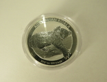 Австралия Коала 1$ ролл 20 штук серебро 999`, фото №3