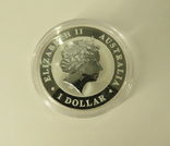 Австралия Коала 1$ ролл 20 штук серебро 999`, фото №4