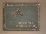 "Породы лошадей" 1956 год. тираж: 35000 экз., фото №2