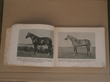 "Породы лошадей" 1956 год. тираж: 35000 экз., фото №10