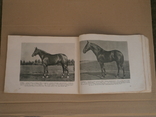 "Породы лошадей" 1956 год. тираж: 35000 экз., фото №13