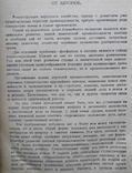 Синтез аммиака. Маляревский В.И., Голованов В.Н. 1929, фото №5