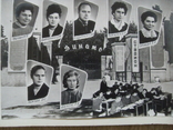 Альбом выпускницы Харьковского сельхозинститута 1954-60 гг., фото №11