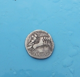 90 год до н. э. Монетарий - C. Vibio Pansa, фото №4