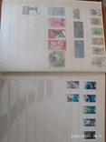 Почтовые марки 2, фото №9
