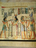 Папирус Египет, фото №3