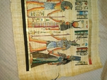 Папирус Египет, фото №5