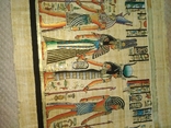 Папирус Египет, фото №6