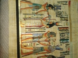 Папирус Египет, фото №7