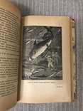 Жюль Верн Українською мовою 1935 8000 кілометрів під водою, фото №13