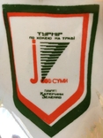 Фарфор сувенир Памяти Катерины Зеленко м.Суми с клеймом, фото №3