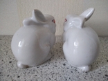 Два лиловых кролика, фото №4