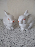 Два лиловых кролика, фото №6