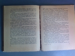 1961г  Прекрасное живет вечно. Волошин И.И., фото №7