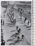 3 Рейх. Пропаганда. Олимпиада 1936г. Карточка Cigaretten-Bilderdienst. Размер 17 x 12 см., фото №2