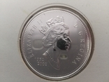 1 Доллар 2002 50 лет правлению Королевы Елизаветы II (Серебро 0.925, 25.18г), Канада, фото №6