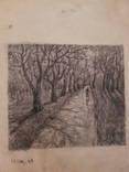 Двухсторонний рисунок 1908 года. Карандаш. Аллея Александровского парка, фото №3