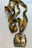 Масонская медаль знак масон Серебро., фото №6