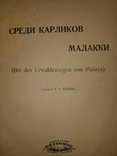 1928 Среди карликов Малакки, фото №2