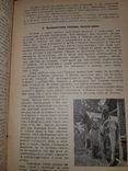 1928 Среди карликов Малакки, фото №5