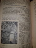 1928 Среди карликов Малакки, фото №7