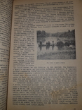 1928 Среди карликов Малакки, фото №9