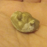 Лягушка камень, фото №2