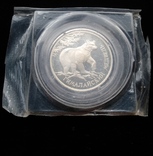 Один Рубль 1994-го года " Гималайский медведь " ( серебро 900 пробы ), фото №3