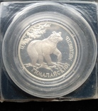 Один Рубль 1994-го года " Гималайский медведь " ( серебро 900 пробы ), фото №4