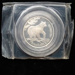 Один Рубль 1994-го года " Гималайский медведь " ( серебро 900 пробы ), фото №7