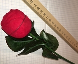 Футляр для ювелирных украшений "Роза на стебле" / коробка для ювелірних прикрас "Троянда", фото №2