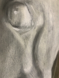 Картина. Голова скульптуры лошади. Пастель, карандаш, ватман. Размер 64*43 см, фото №4