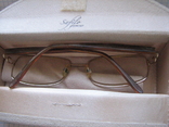 Очки Pierre Cardin by Safilo (в родной коробке), numer zdjęcia 3