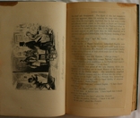 Чарлз Дикенс, "Little Dorrit", 2 тт. (Лондон, 1891). З хрестоматійними ілюстраціями Фіза, фото №12