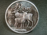 РБ41 Ирландия 1 экю 1993 год, серебро 999 пр, вес 19,7 гр. Диаметр 4 см, фото №4