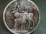 РБ41 Ирландия 1 экю 1993 год, серебро 999 пр, вес 19,7 гр. Диаметр 4 см, фото №5