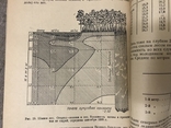 Влияние Леса на изменение среды 1950, фото №2