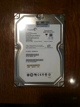 Винчестер Seagate 250 GB, photo number 2