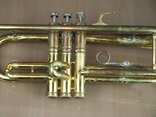 Музична труба PARROT China, фото №9