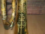 Музична труба PARROT China, фото №13