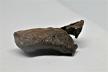 Залізний метеорит Gebel Kamil 70,6 г з сертифікатом автентичності, фото №9