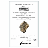 Залізна частина метеорита Seymchan, 10,7 грам, із сертифікатом автентичності, фото №3