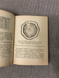 Життя Його закони і походження 1936 Послини і тварини В. Лункевич, фото №7